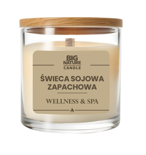wellness o.png