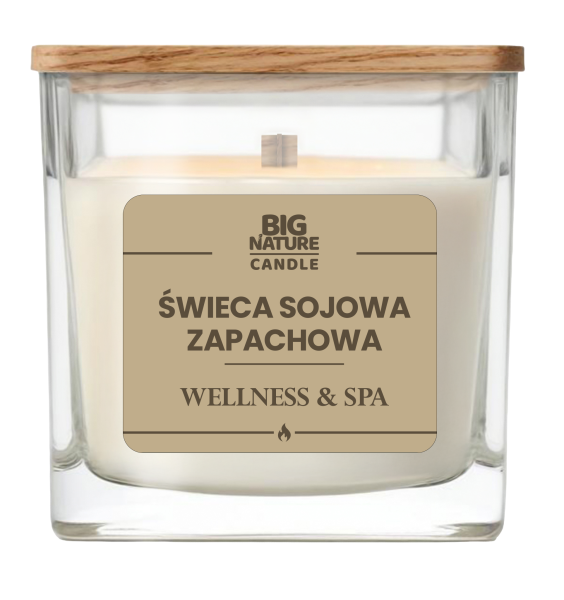 wellness k.png