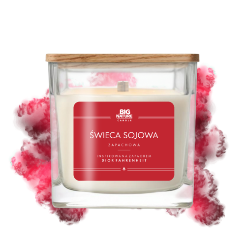 UP dior fahrenheit 205g 450g.png