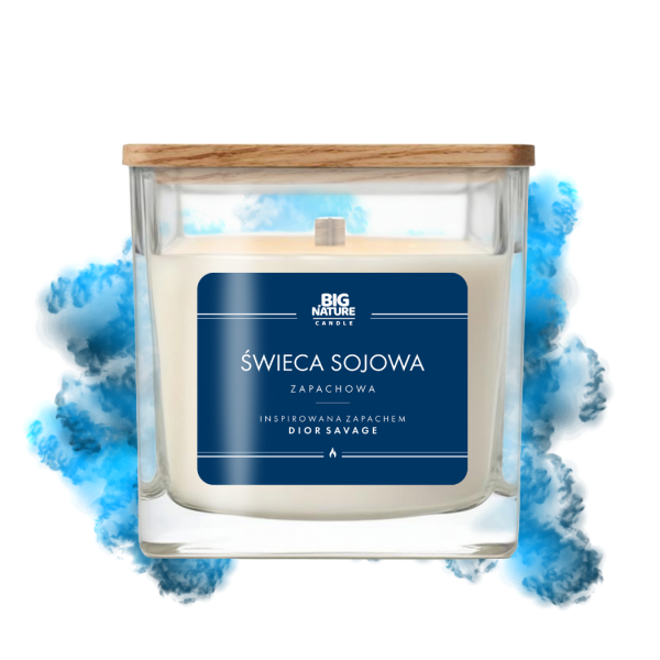 UP dior sauvage 205g 450g.png